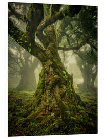 Hartschaumbild Knorriger alter Baum