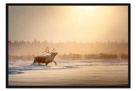 Gerahmter Kunstdruck Alphamännchen