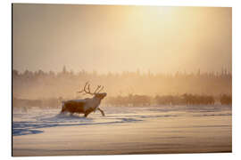 Magnettafel Alphamännchen