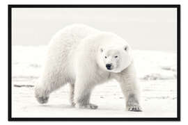 Gerahmter Kunstdruck Alaskas König