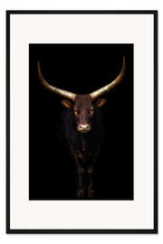 Gerahmter Kunstdruck Longhorn Rind