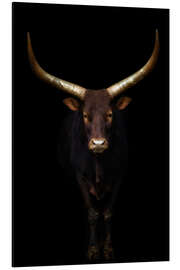 Magnettafel Longhorn Rind