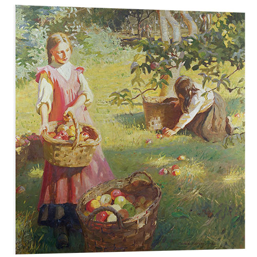 Foam board print Apples