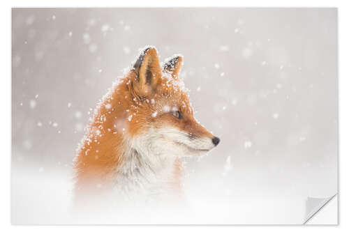 Vinilo para la pared Cayendo nieve