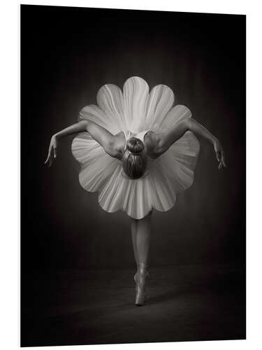 Foam board print Flowery ballet