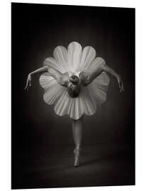 Foam board print Flowery ballet