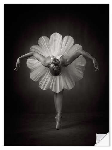 Vinilo para la pared Ballet florido