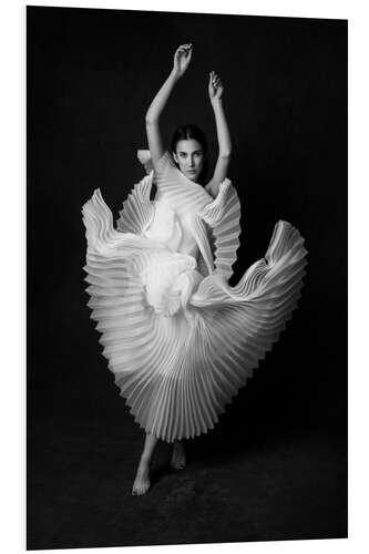 PVC print Swan Lake