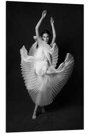 Magnettafel Schwanensee