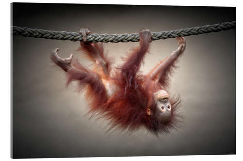 Akrylbillede Little acrobat