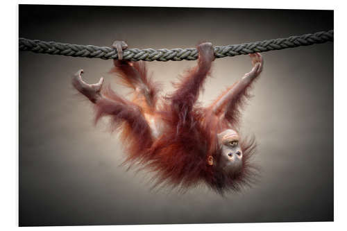 PVC-taulu Little acrobat
