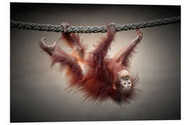 PVC-taulu Little acrobat