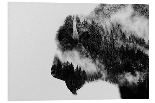 Foam board print Bison