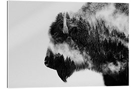 Gallery Print Bison