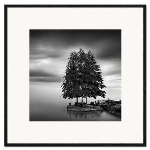 Kunsttryk i ramme Swedish countryside
