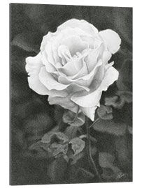 Galleriprint White Rose