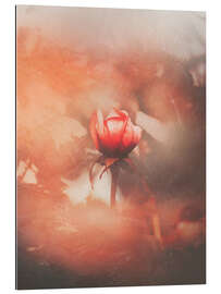 Galleriprint Nostalgic Rose