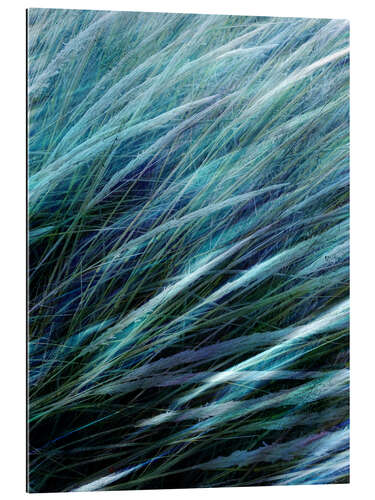 Gallery print Blue Wind