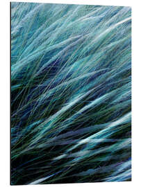 Magnettafel Blauer Wind