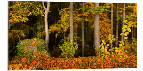 Tableau en aluminium À la lisière de la forêt