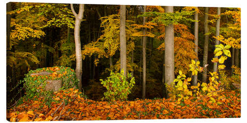 Canvas print At the edge of the forest