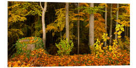 Foam board print At the edge of the forest