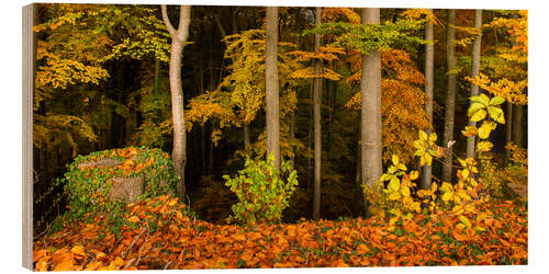 Holzbild Am Waldrand