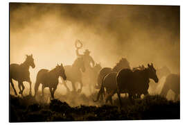 Aluminium print Cowboy on the horse ranch