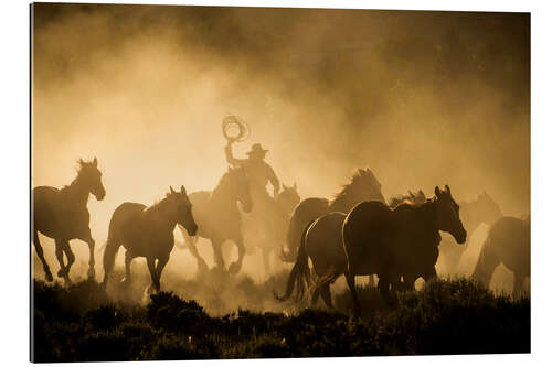 Gallery print Cowboy on the horse ranch