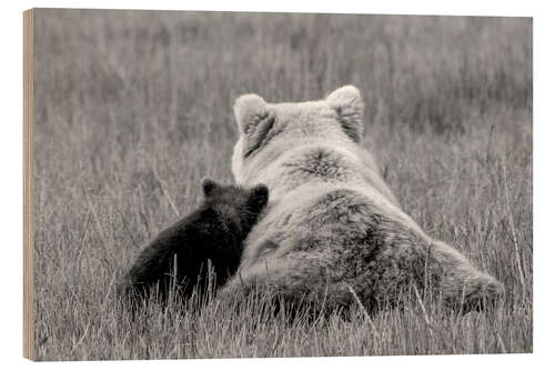 Wood print Grizzly bear mom with child