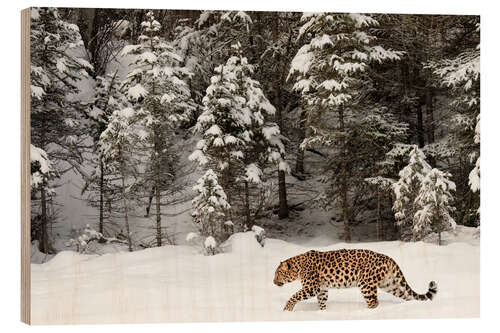 Wood print Leopard is streaking through winter landscape