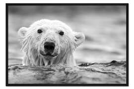 Gerahmter Kunstdruck Eisbär im Eismeer