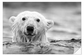 Vinilo para la pared Oso polar mojado