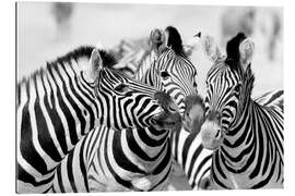 Gallery print Three zebras