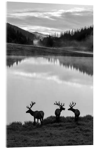 Acrylic print Rocky Mountain National Park