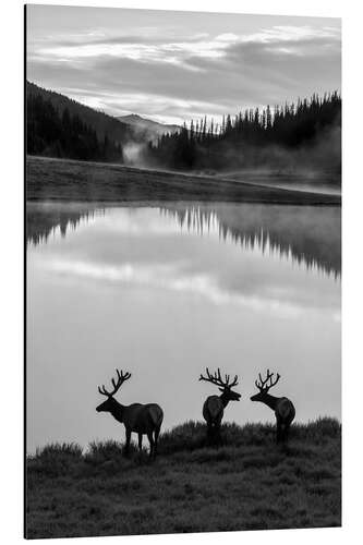 Aluminium print Rocky Mountain National Park