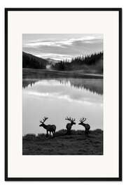 Gerahmter Kunstdruck Rocky-Mountain-Nationalpark