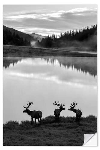 Selvklæbende plakat Rocky Mountain National Park