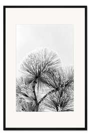 Gerahmter Kunstdruck Kiefernzweig mit Frostkristallen