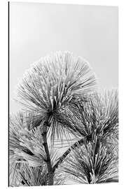 Magnettafel Kiefernzweig mit Frostkristallen