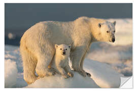 Vinilo para la pared Cachorro de oso polar con su madre