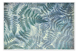 Plakat  Pattern of oak fern - Jaynes Gallery
