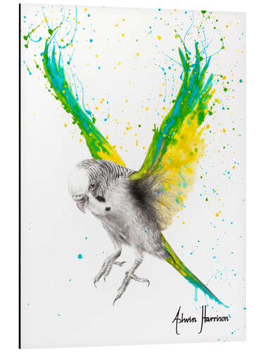 Aluminium print The Bold Budgie