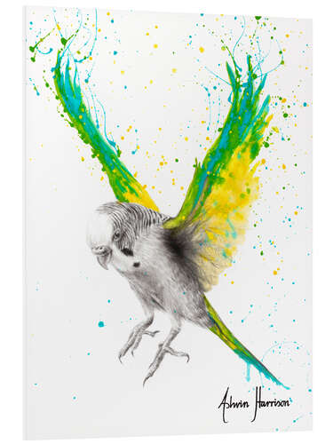 Foam board print The Bold Budgie