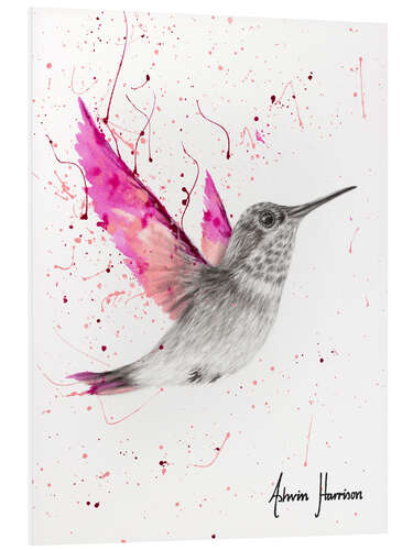 Foam board print Magenta Rose Bird