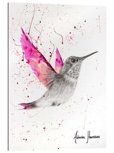 Quadro em plexi-alumínio Magenta Rose Bird