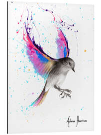 Magnettafel Septemberschwingen