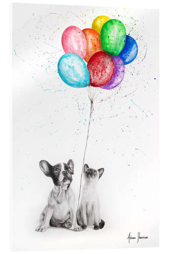 Acrylic print Frenchie and Siamese with Colourful Balloons