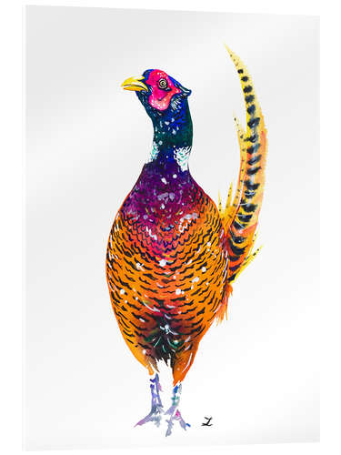 Acrylic print Pheasant