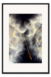 Gerahmter Kunstdruck Weiche Schirmchen